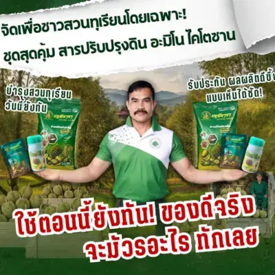 3 วิธีแก้ ทุเรียนใบร่วงช่วงดอก ป้องกันดอกฝ่อ คืนความสมบูรณ์ให้ต้น