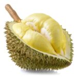 ทุเรียน