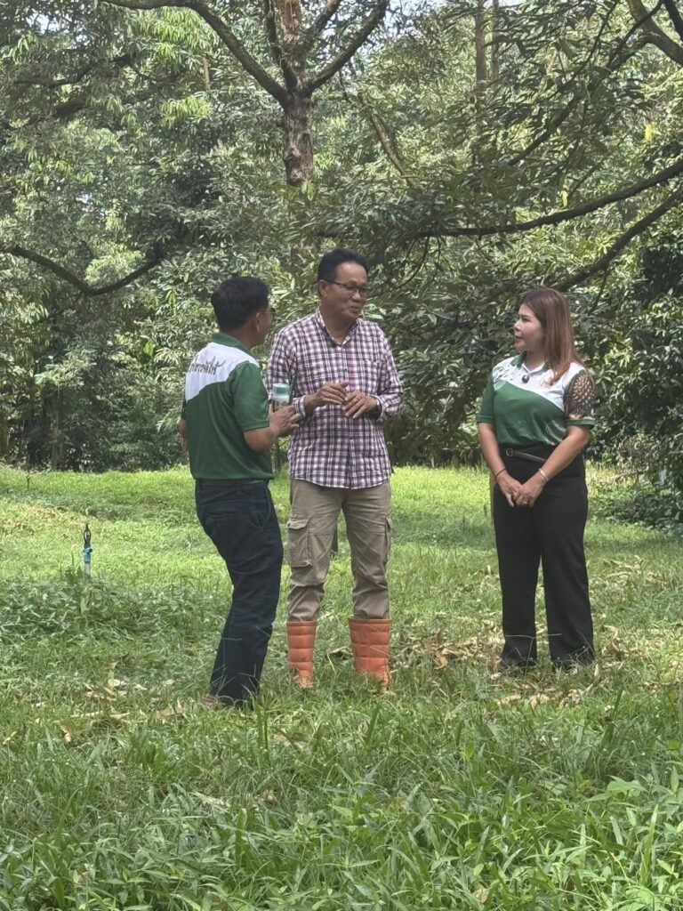 ฟื้นรากก่อนเรียกใบ