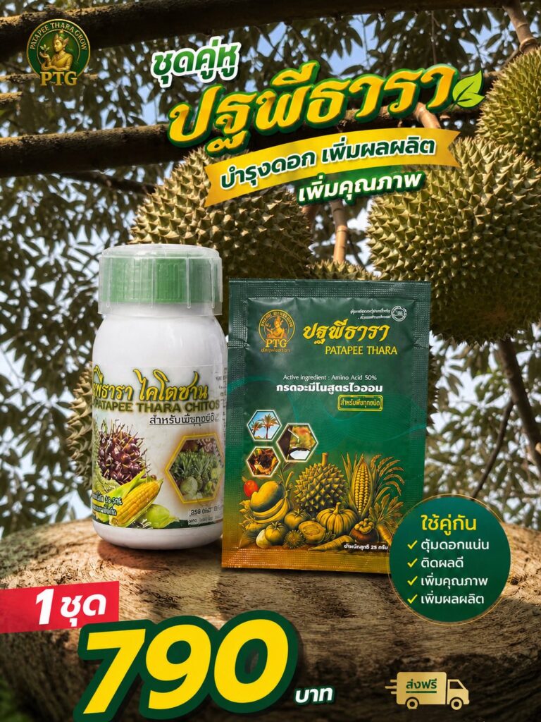 ปฐพีธารา