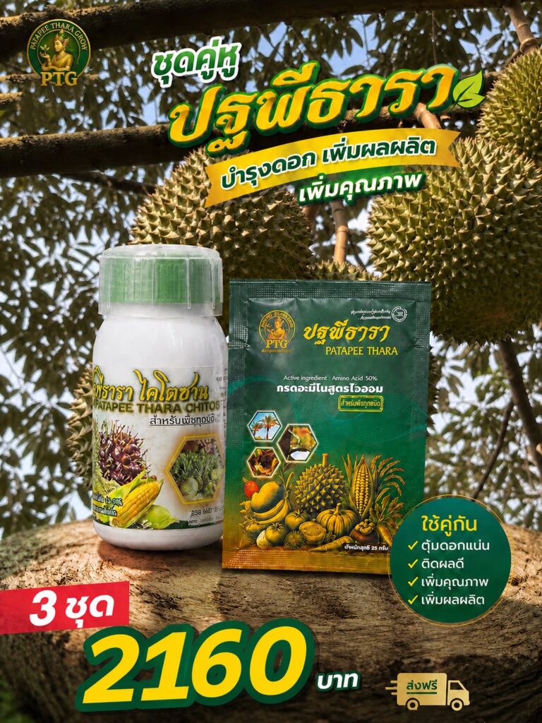 ฟื้นดินสวนทุเรียน