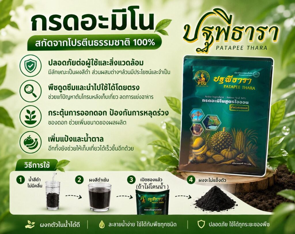 ฟื้นดินสวนทุเรียน