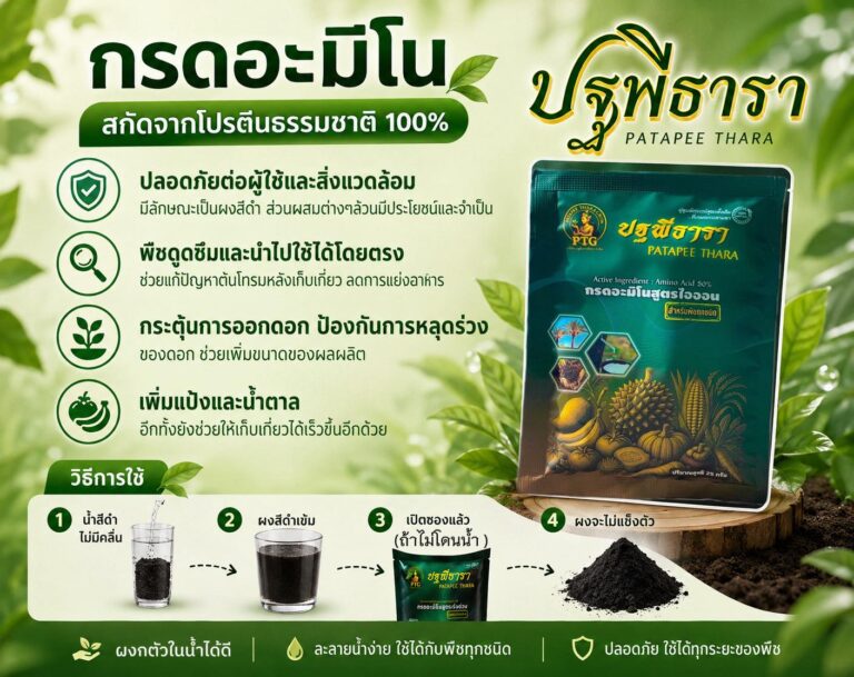 ฟื้นดินสวนทุเรียน