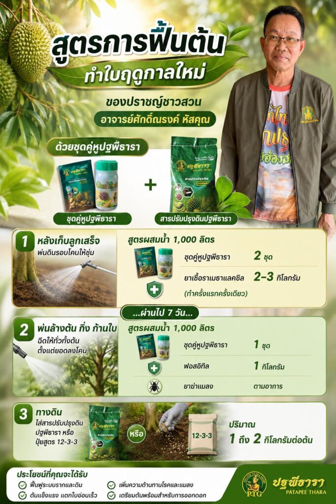 สูตรการฟื้นต้น ทำใบฤดูการใหม่