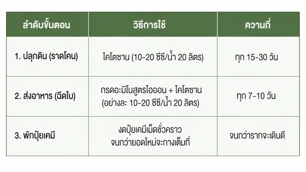 ใบร่วงหลังฝน.webp