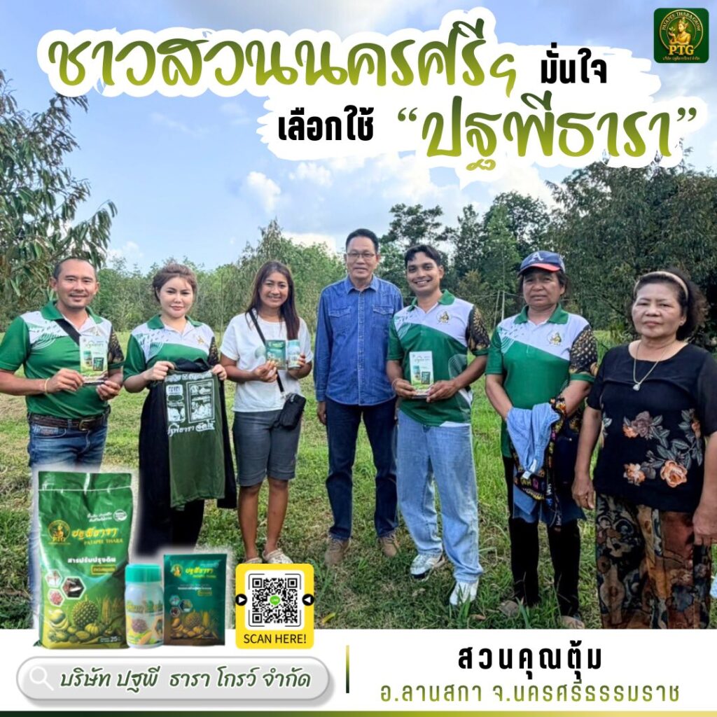 ปฐพีธารา ฟื้นต้นหลังเก็บเกี่ยว ทุเรียนใบใหญ่เขียวเข้ม พูแน่น เนื้อสวย