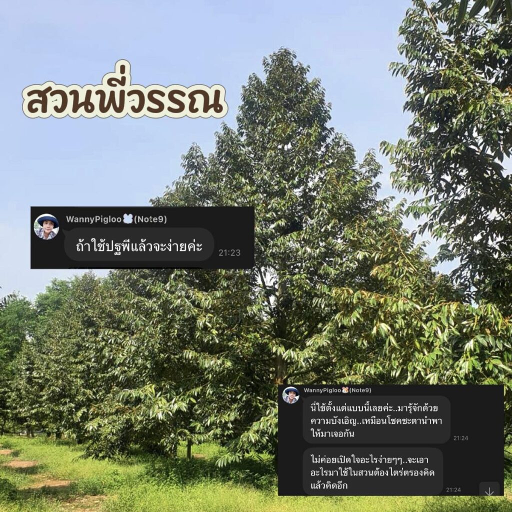 กรดอะมิโน, ไคโตซาน กรดอะมิโน, ไคโตซาน