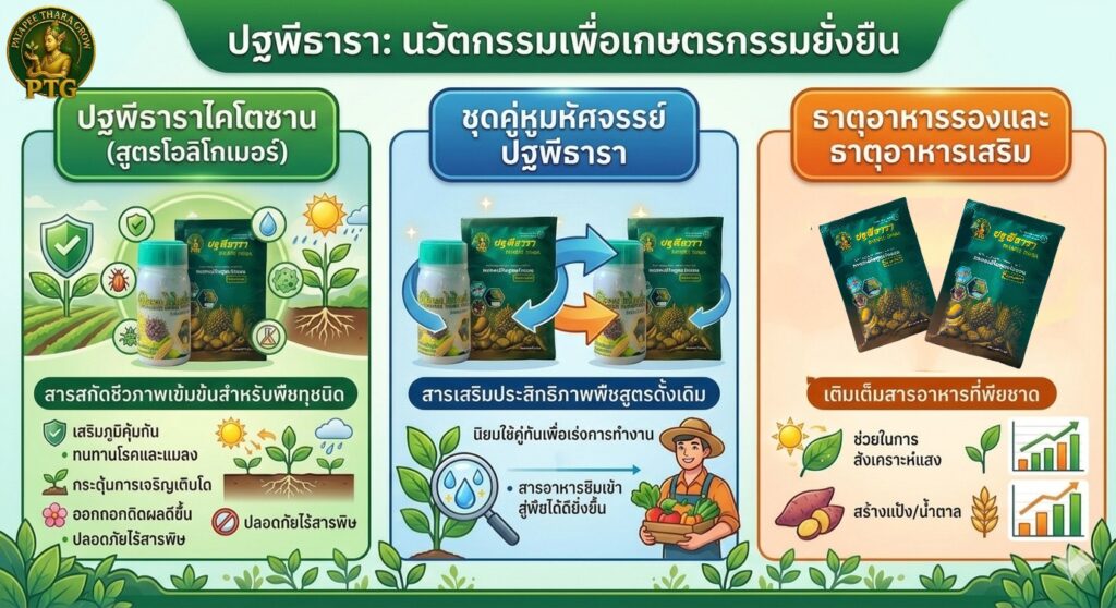 recovering-durian-after-harvest.jpg ฟื้นต้นสวนทุเรียนหลังเก็บเกี่ยว ด้วยปฐพีธารา
