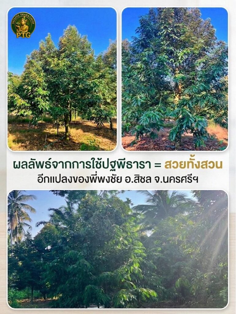 ฉีดพ่นไปแล้วซึมเข้าสู่ระบบทันที