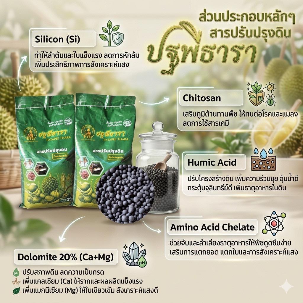 ปลอดภัยไร้สารพิษ ปฐพีธารา นวัตกรรม ปลอดภัยไร้สารพิษ ปฐพีธารา นวัตกรรม