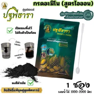 กรดอะมิโนสูตรไออน
