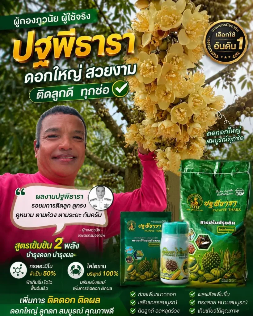 ทุเรียนอายุน้อยยอดไม่เดิน ใบเหลืองไม่โต แก้ให้ถูกจุดก่อนรากเน่าตาย
