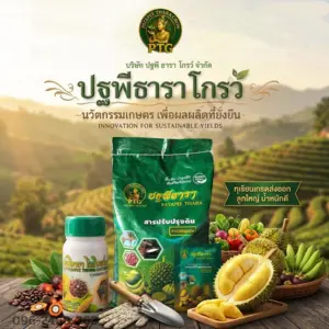 สามเกลอ ปฐพีธารา