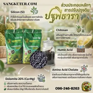 สารปรับปรุงดิน ปฐพีธารา