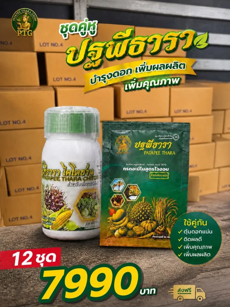 ยกลังปฐพีธารา