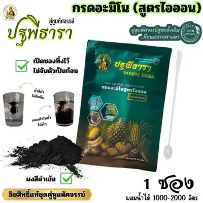 กรดอะมิโน ปฐพีธารา