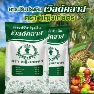 อยากทำ ทุเรียนรวยปลอดภัย ต้องดู! เผยเทคนิค ฟื้นต้นทุเรียน ให้ใบเขียวเข้ม ขั้วเหนียวแน่นด้วย ชุดคู่หูเวิลด์แพลนท์ และ ปุ๋ยทางดิน ตราหญิงเกษตร ลดต้นทุนเหลือแค่หลักหมื่นเห็นผลจริง