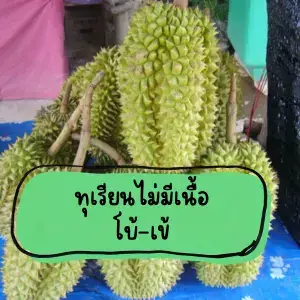 5 วิธีจบปัญหา "ทุเรียนไม่มีเนื้อ" ให้พูเต็ม น้ำหนักดี ด้วยเวิลด์แพลนท์