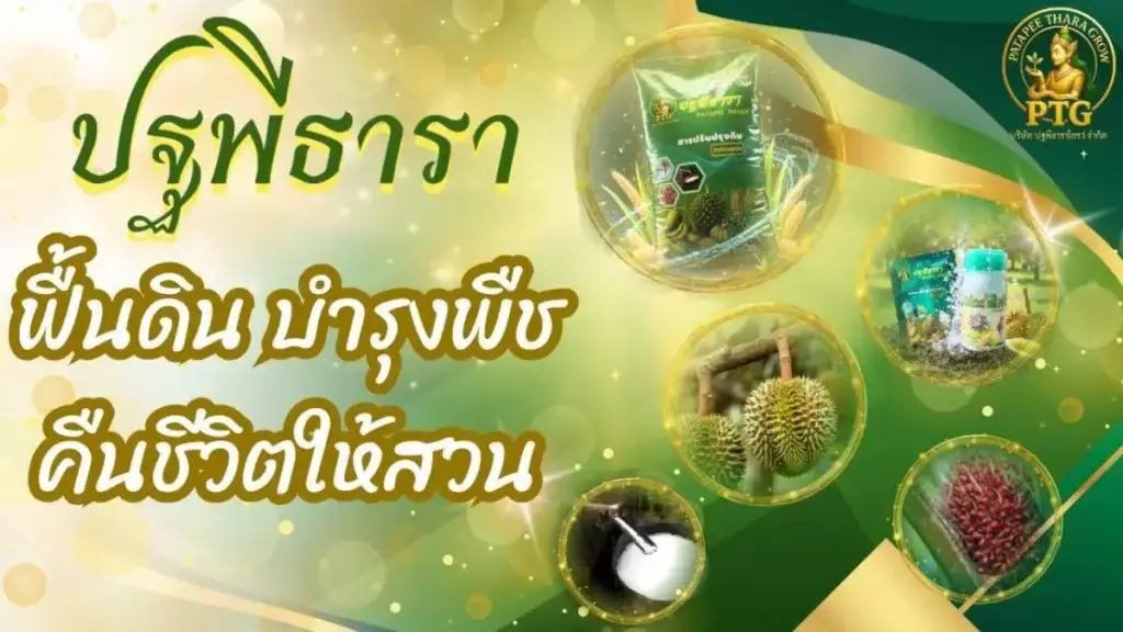 ปฐพีธารา ปุ๋ยทุเรียน
