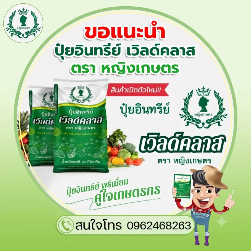 เปลี่ยนสวนโทรมเป็นกำไรด้วยเทคนิคทำ ทุเรียนเงินเหลือ เผยวิธีใช้ชุดคู่หูเวิลด์แพลนท์ และปุ๋ยทางดิน ตราหญิงเกษตร