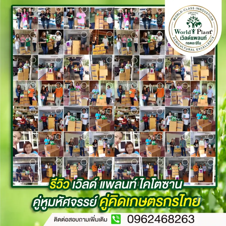 ทุเรียนทุนลดกำไรพุ่ง จากประสบการณ์จริงสวนรองดำ ชุมพร เผยวิธี ฟื้นต้นทุเรียน โทรมหนักให้กลับมาติดดก 30 ตัน