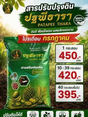 สารปรับปรุงดิน