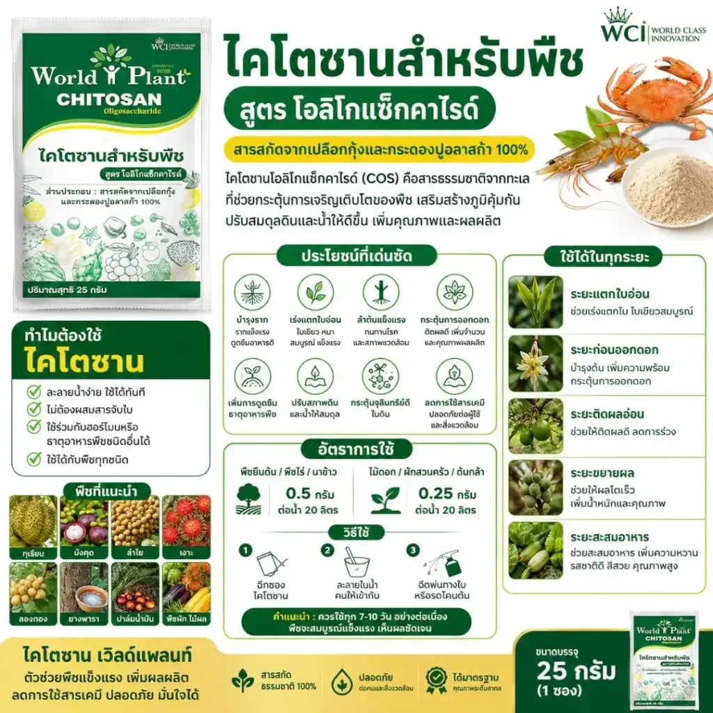 3 เคล็ดลับกู้ ทุเรียนก้านธูป ให้ดก 11 ตัน แบบสวนพี่แวน เมืองคอน