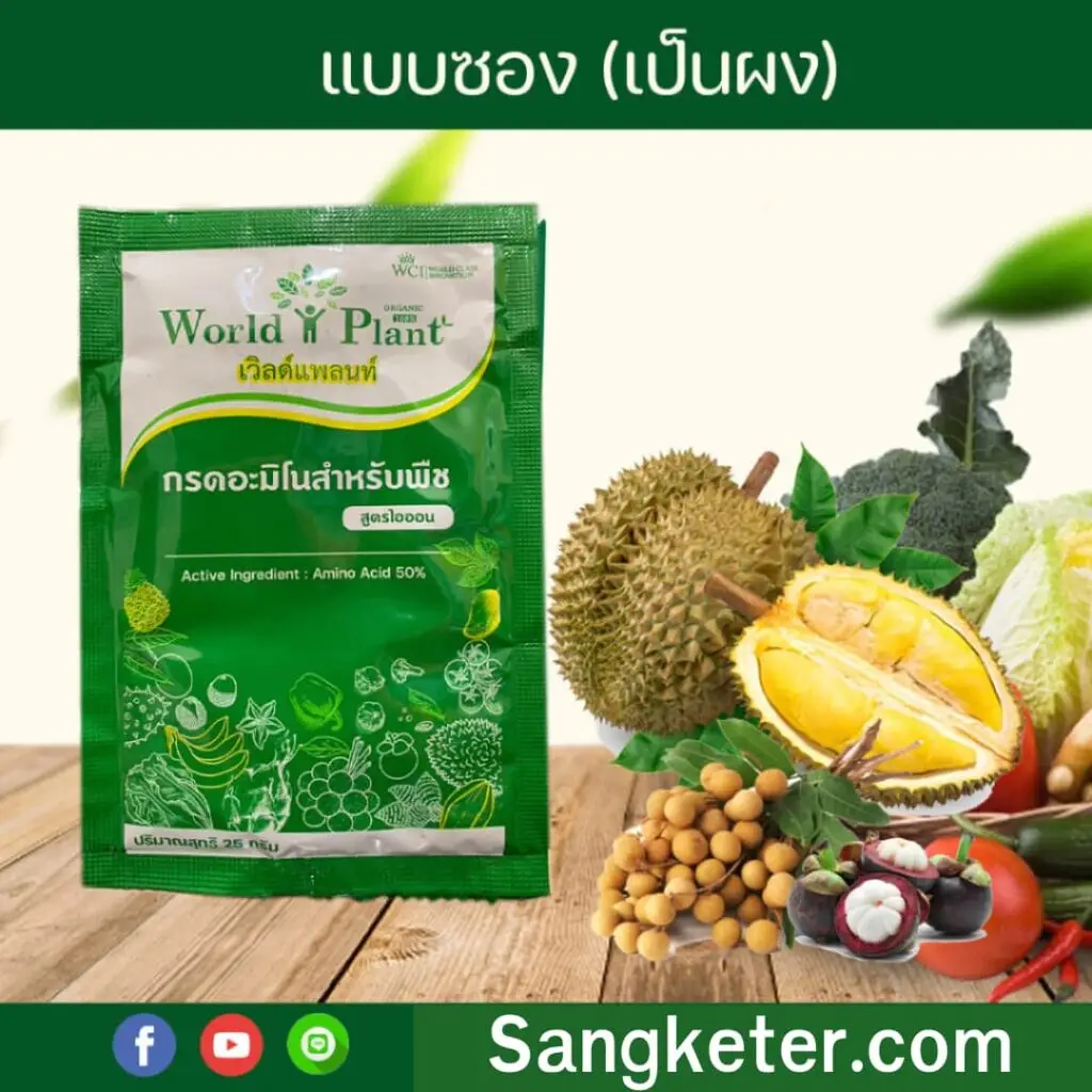 3 วิธีแก้ ทุเรียนใบเหลือง รากเน่าโคนเน่า ให้กลับมาแตกยอดพรูแบบวิศวกร