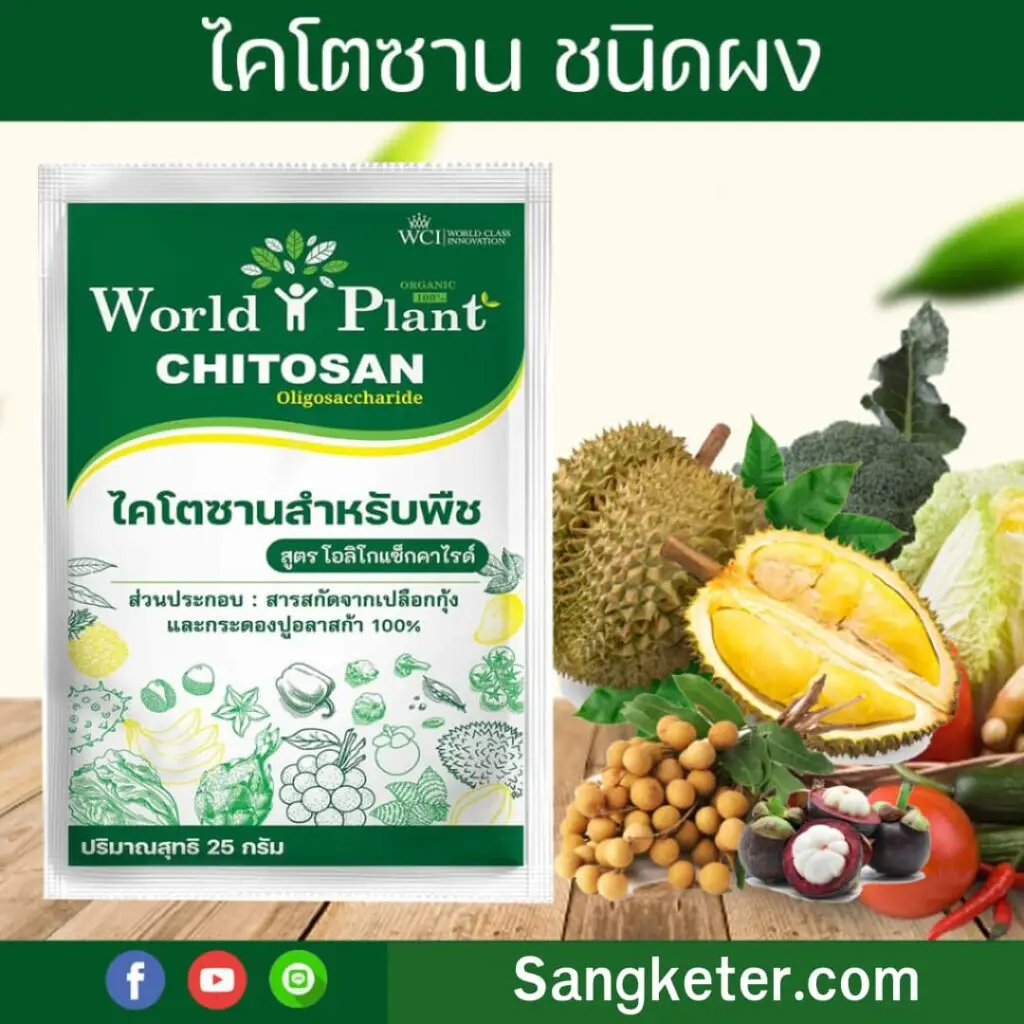 ดนหลอกซื้อยาแพง แล้วหันมา ฟื้นต้นทุเรียน ใบเหลืองให้กลับมาเขียวพรูด้วยเทคนิคจากสวนสตูลที่ช่วย