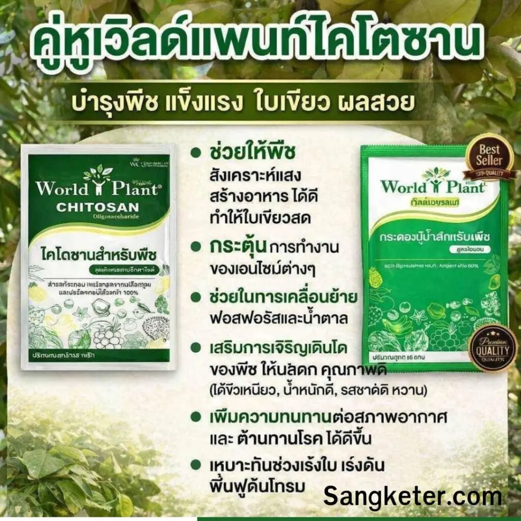 3 สูตรลับแก้ ทุเรียนนั่งแท่น ติดลูกดก 50 ตัน แม้เจอวิกฤต ทุเรียนไม่กินน้ำ