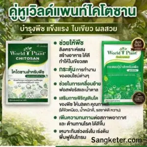3 สูตรลับแก้ ทุเรียนนั่งแท่น ติดลูกดก 50 ตัน แม้เจอวิกฤต ทุเรียนไม่กินน้ำ