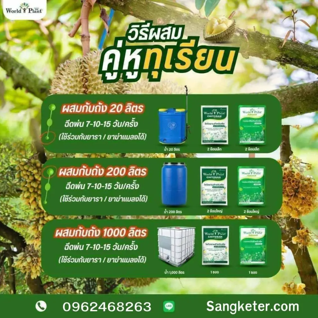 พบวิธีแก้ปัญหา ทุเรียนรัดใบอ่อน เผยเทคนิค เร่งใบแก่ทุเรียน ให้ใบเขียวหนา ยอดนิ่ง ผลโตไวด้วยนวัตกรรมอินทรีย์จากปราชญ์ทุเรียนตัวจริง