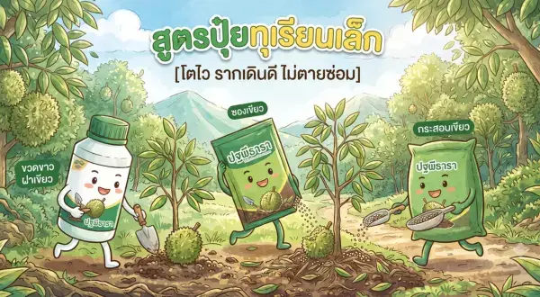 3 วิธีจบปัญหา โรคทุเรียนใบจุด ใบไม่ร่วง ต้นแข็งแรง ได้ผลผลิตดก