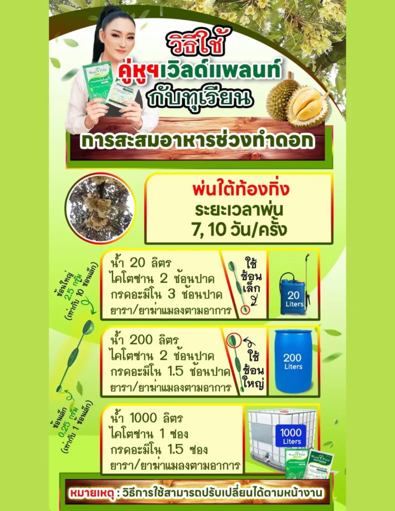 วิธีเปิดตาดอกทุเรียน ให้พราวเต็มต้น! กู้ทุเรียนเกือบยืนตายสู่ผลผลิต 8 ตัน ฉบับคนสวนทำจริง