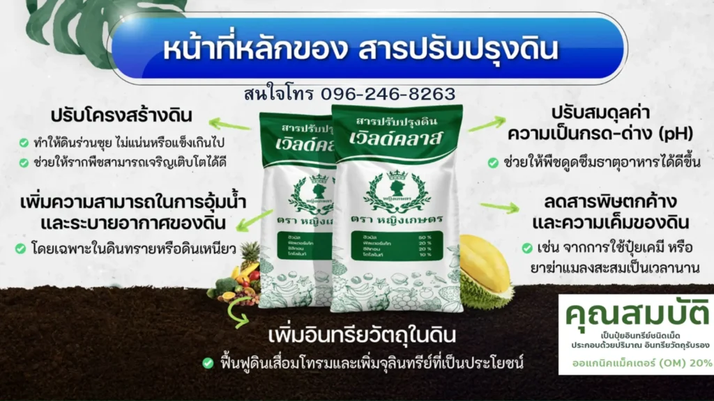 วิธีทำให้ขั้วเหนียว ทุเรียนลูกดก หนามเขียวเป๊ะ! สูตรลับกู้ผลผลิตใน 15 วัน
